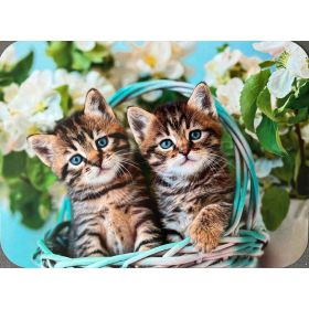 PODKŁADKA MATA LAMINOWANA NA STÓŁ 2 KOTY W KOSZYKU