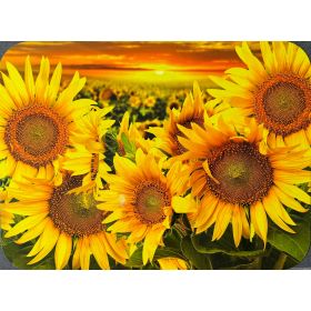 PODKŁADKA MATA LAMINOWANA NA STÓŁ POLE SŁONECZNIKÓW