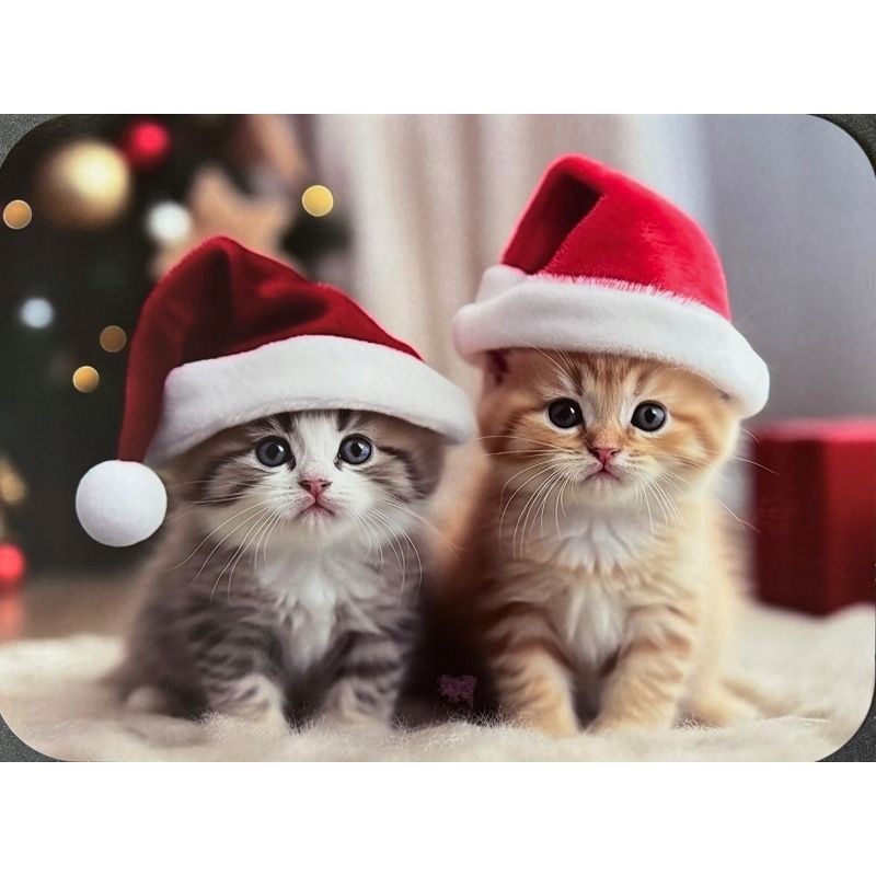 PODKŁADKA MATA LAMINOWANA NA STÓŁ BOŻE NARODZENIE ŚWIĄTECZNE KOTY 2