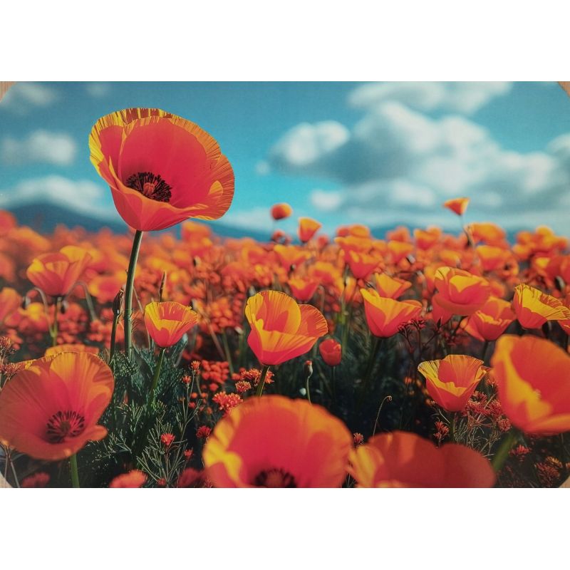 PODKŁADKA MATA STOŁOWA LAMINOWANA NA STÓŁ MAKI