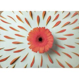 PODKŁADKA MATA STOŁOWA LAMINOWANA NA STÓŁ POPMARAŃCZOWY GERBER