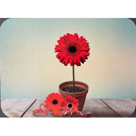 PODKŁADKA MATA STOŁOWA LAMINOWANA NA STÓŁ CZERWONY GERBER