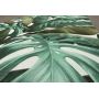 TAPETA JS003 Monstera liście ZIELONA BROKAT Fliz