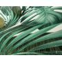 TAPETA JS003 Monstera liście ZIELONA BROKAT Fliz