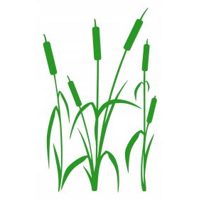 Naklejka welurowa dekoracyjna na ścianę Tatarak NW 42.70-15P zielony