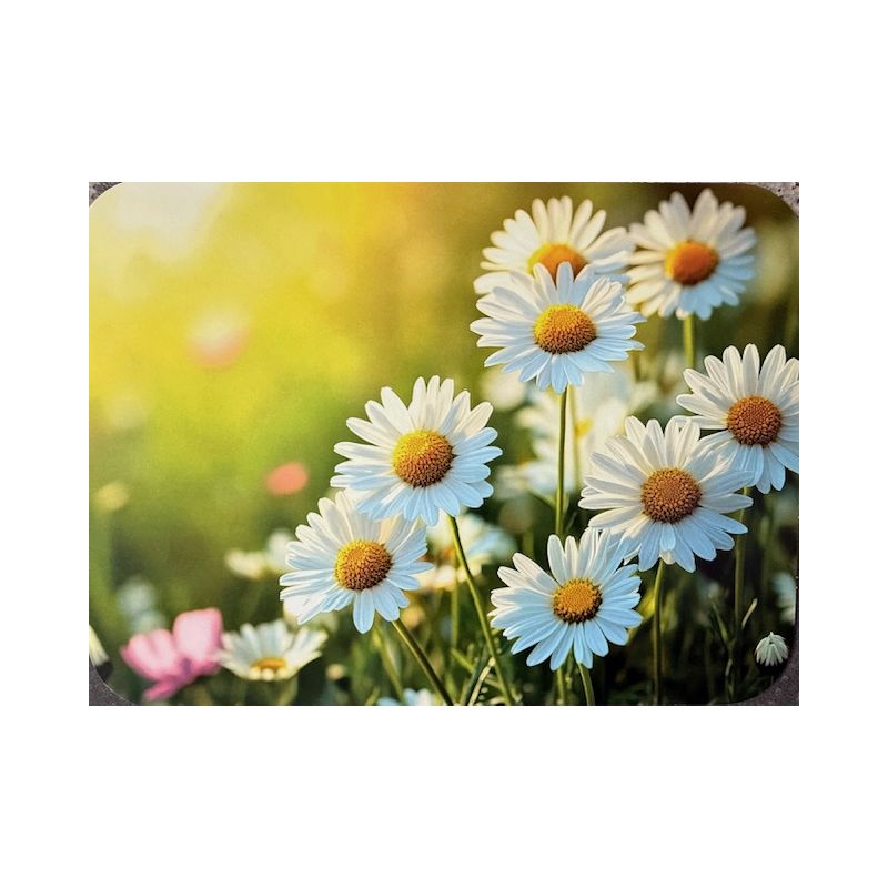 PODKŁADKA MATA LAMINOWANA NA STÓŁ ŁĄKA KWIATY STOKROTKI