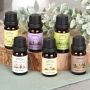 Zestaw olejków eterycznych 10 ml do kominków podgrzewaczy nawilżaczy 6 szt