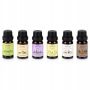 Zestaw olejków eterycznych 10 ml do kominków podgrzewaczy nawilżaczy 6 szt