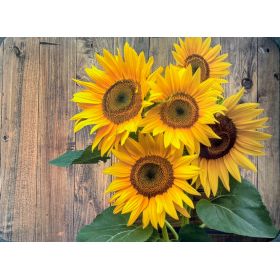 PODKŁADKA MATA laminowana na stół bardzo duży wybór wzorów