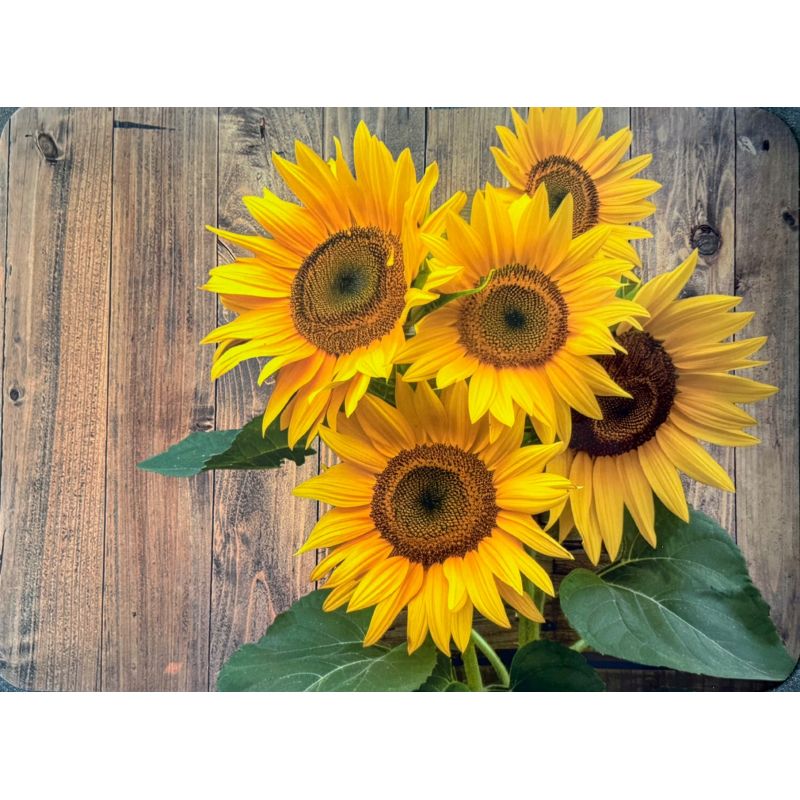 PODKŁADKA MATA laminowana na stół bardzo duży wybór wzorów