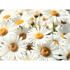 PODKŁADKA MATA STOŁOWA LAMINOWANA NA STÓŁ