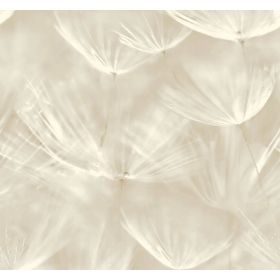 NOWOCZESNA TAPETA 210901 WINYLOWA 3D DMUCHAWCE ZMYWALNA