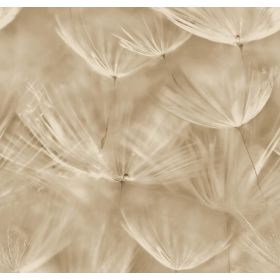 NOWOCZESNA TAPETA 210902 WINYLOWA 3D DMUCHAWCE ZMYWALNA