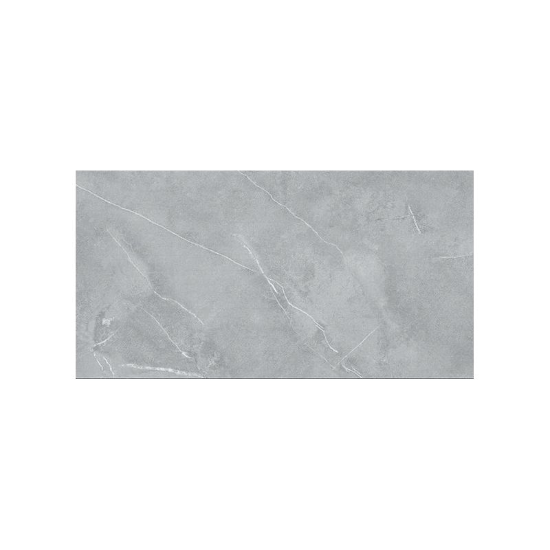 PŁYTKA ŚCIENNA SPECTRA SPC PŁYTKI PANELE MARMUR AGAT SZARY 60x30cm