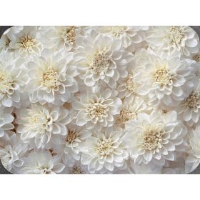 Podkładka na stół 40x30 cm kawa kwiaty dekoracyjna elegancka mata stołowa