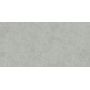 Płytka ścienna Vilo SPC CONCRETE LIGHT 60x30 cm BETON SZARY panele matowe